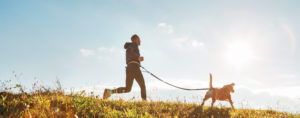 Man runs with his beagle dog at sunny morning.